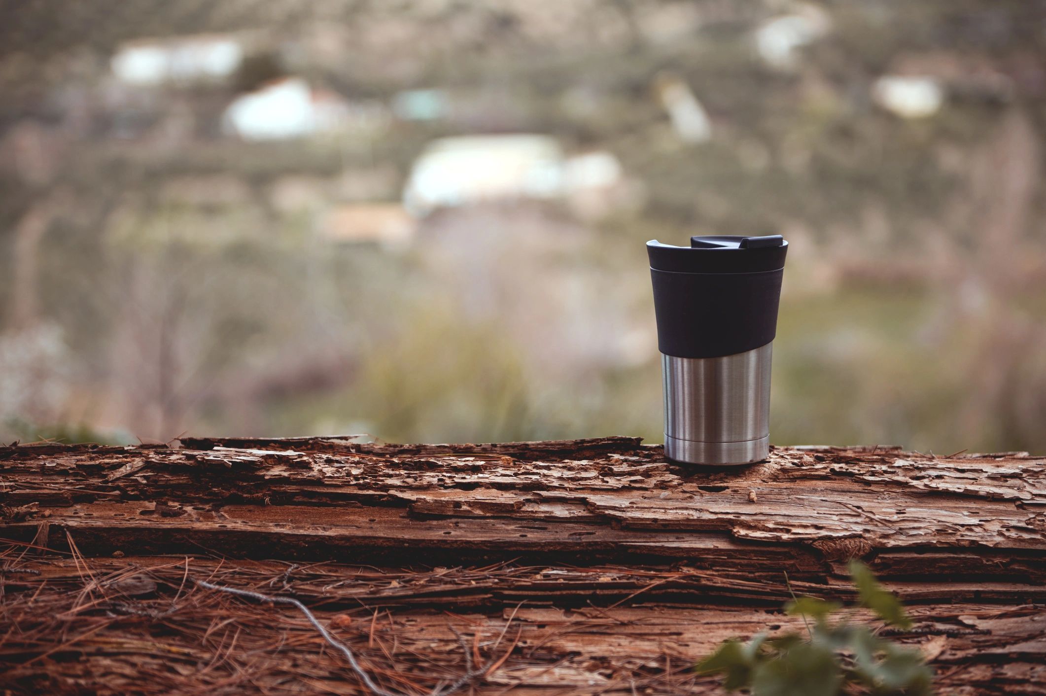 Travel mug outdoors on a log